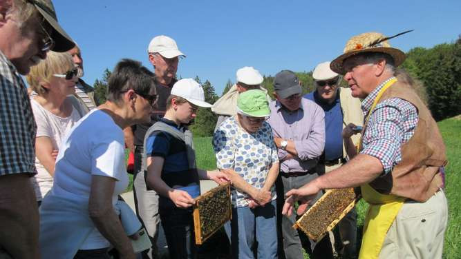 Bienen